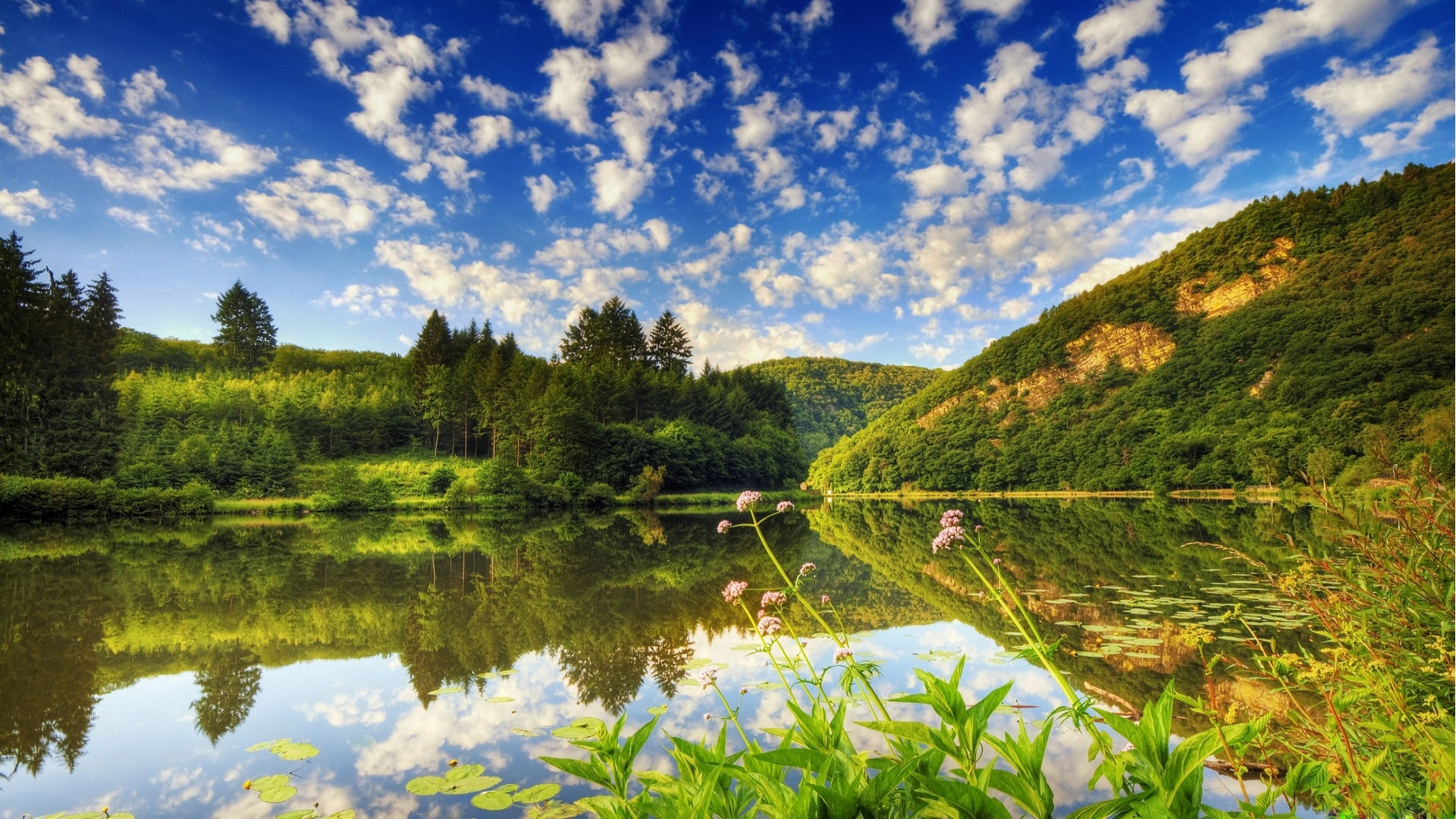 hd desktop wallpapers 1080p,natural landscape,nature,reflection,sky,water