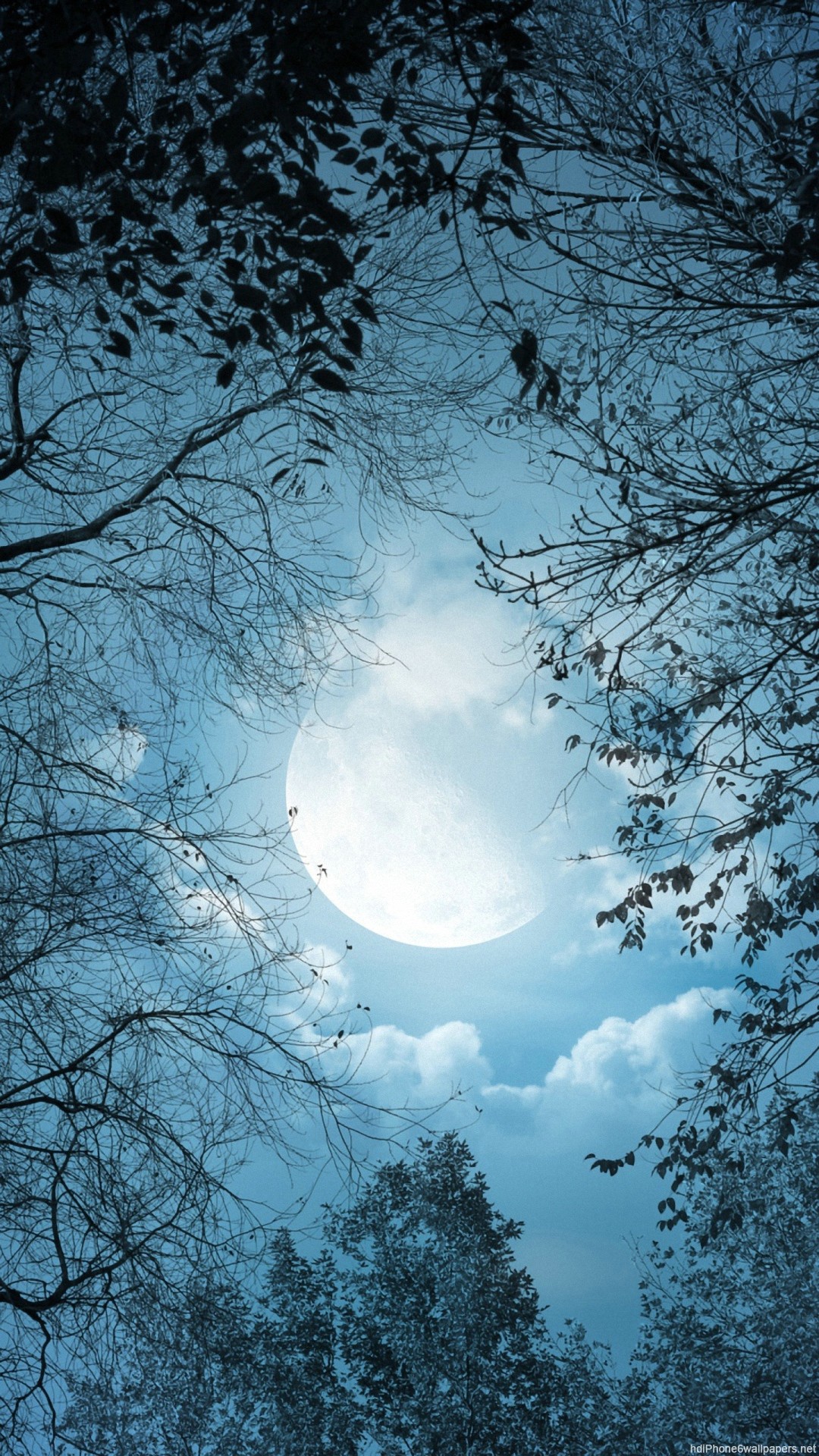 carta da parati verticale hd,cielo,natura,blu,giorno,luna