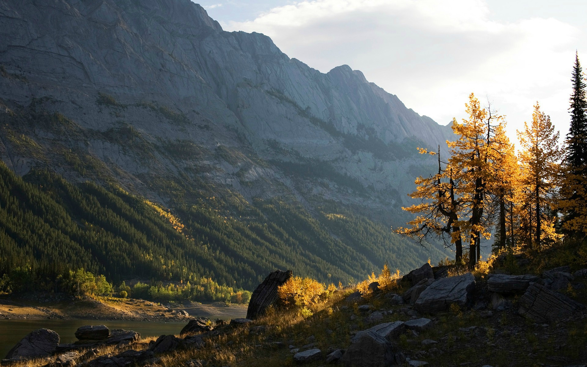 nouveau fond d'écran full hd,montagne,paysage naturel,la nature,chaîne de montagnes,arbre