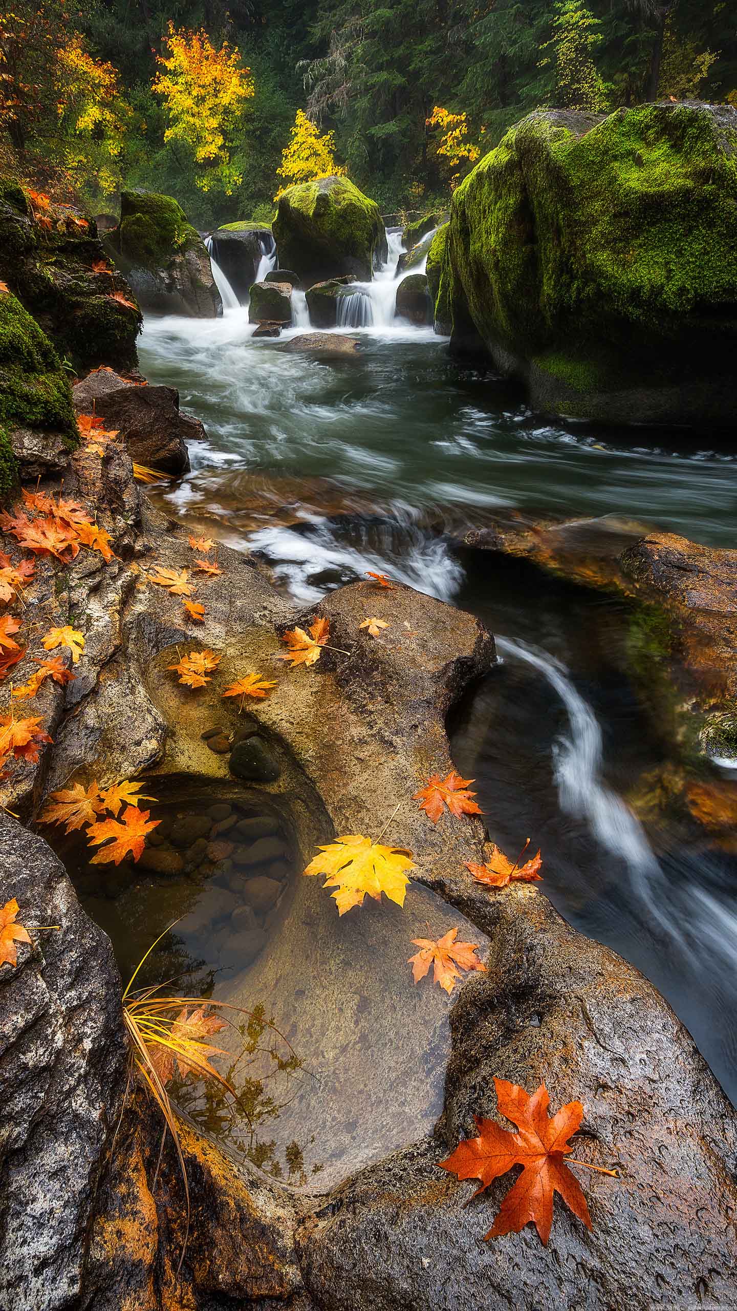 wallpaper 2k,body of water,natural landscape,nature,stream,watercourse