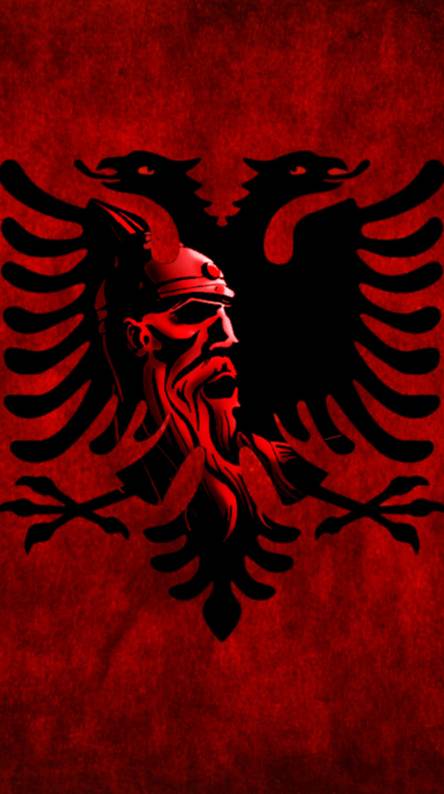 albania wallpaper,red,eagle,t shirt,bird of prey,illustration