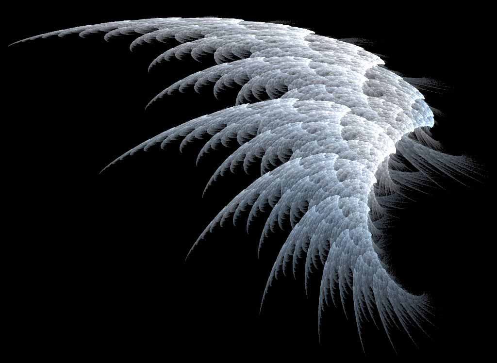 wings wallpaper,black,white,nature,feather,black and white