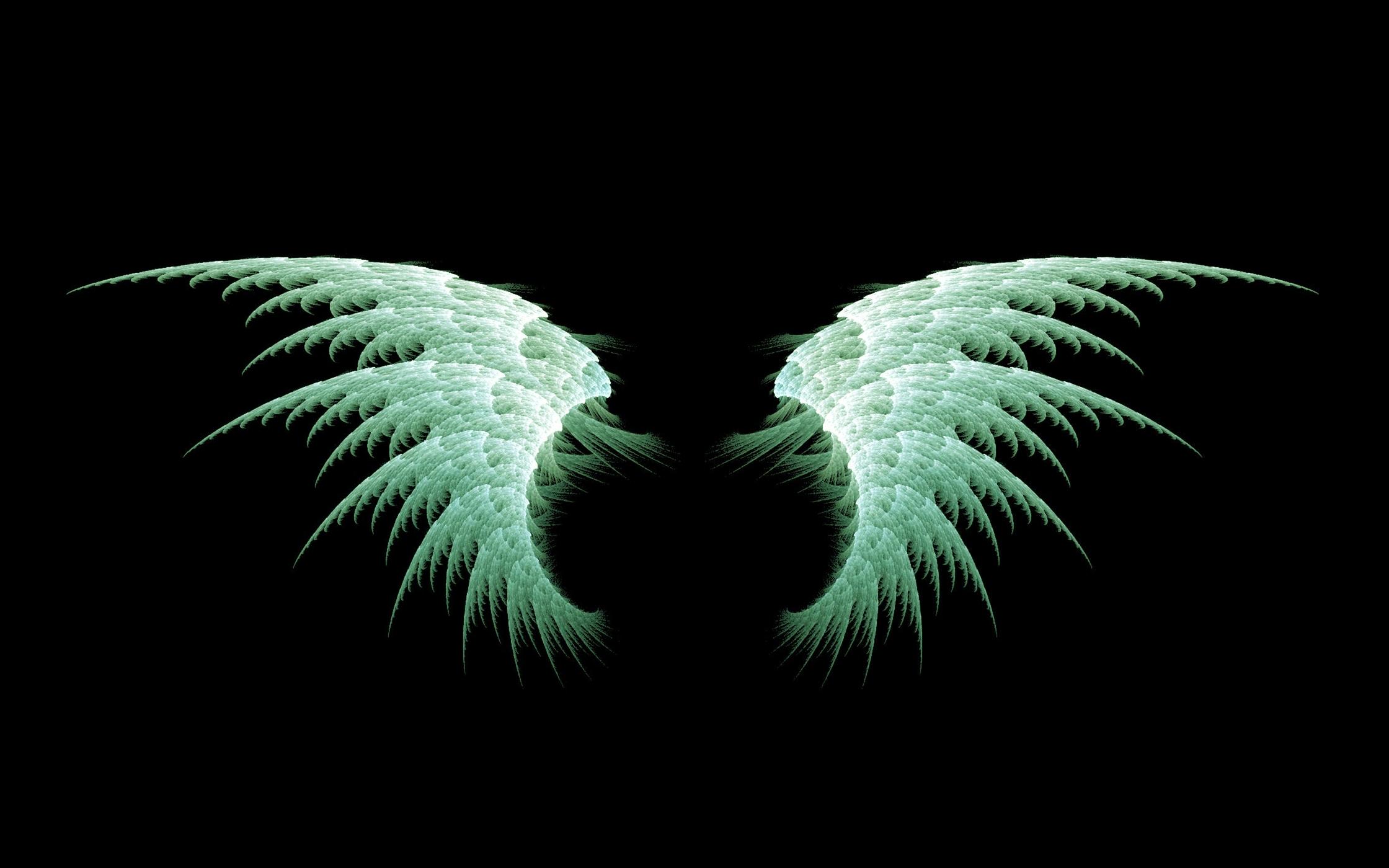 wings wallpaper,black,green,wing,light,feather