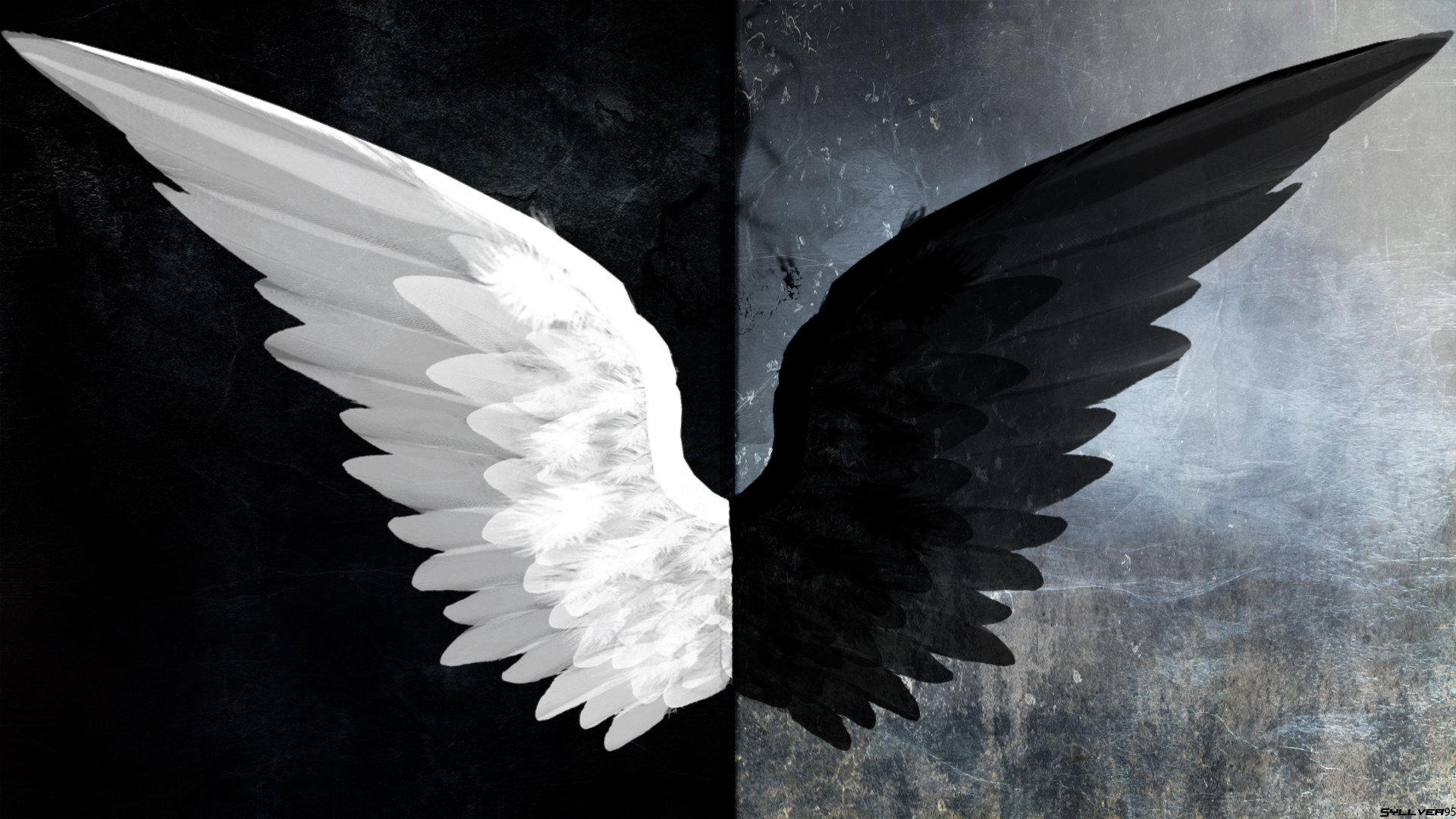 날개 벽지,검정,날개,검정색과 흰색,흑백 사진,천사
