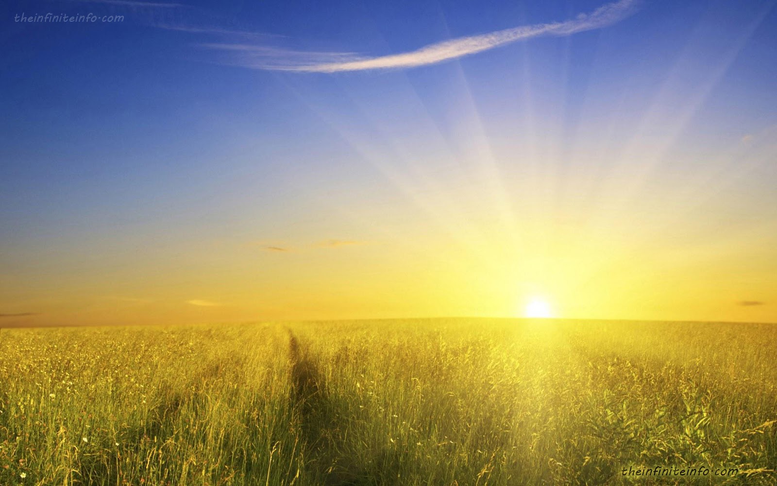 sunshine wallpaper,sky,people in nature,natural landscape,nature,grassland