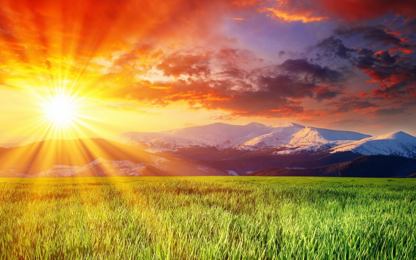 fondo de pantalla de sol,paisaje natural,cielo,naturaleza,amanecer,pradera