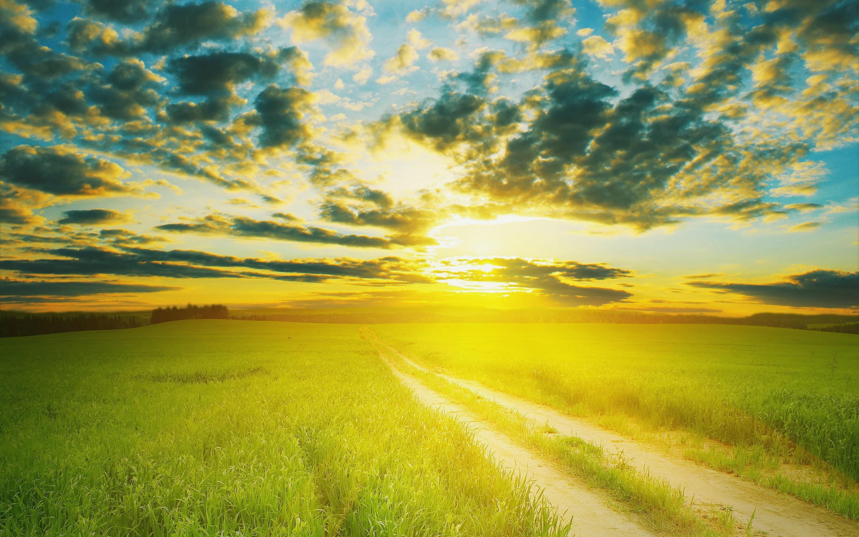 sunshine wallpaper,sky,natural landscape,nature,grassland,green