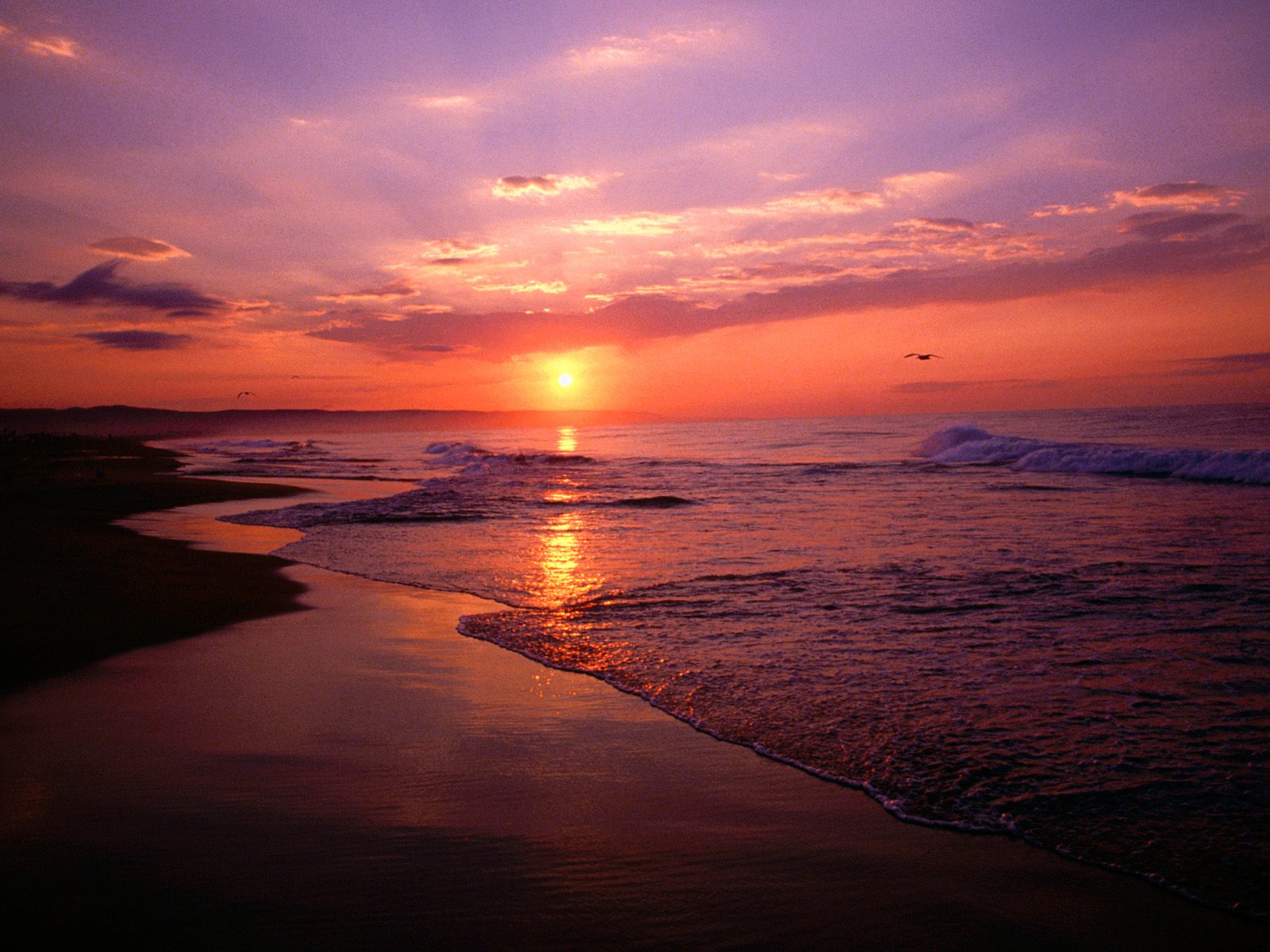 carta da parati alba,cielo,orizzonte,corpo d'acqua,mare,tramonto