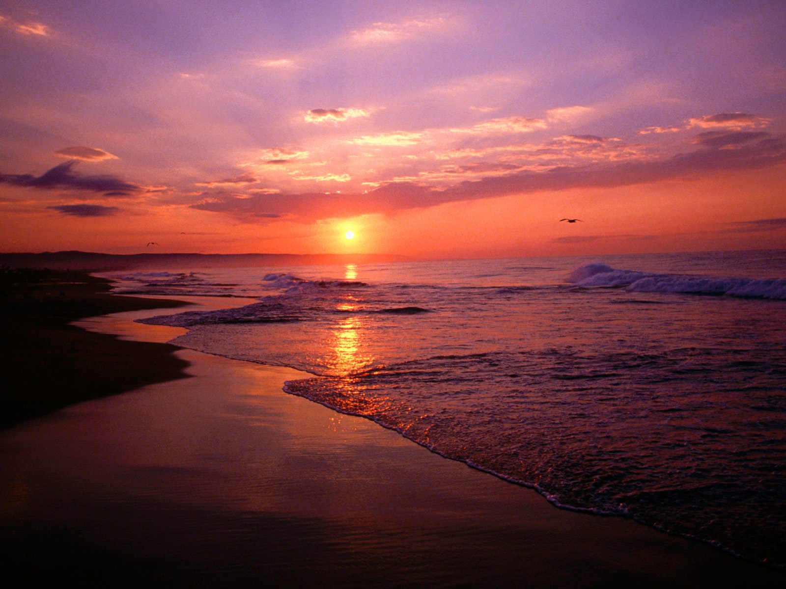 sonnenaufgang tapete,himmel,horizont,gewässer,meer,sonnenuntergang