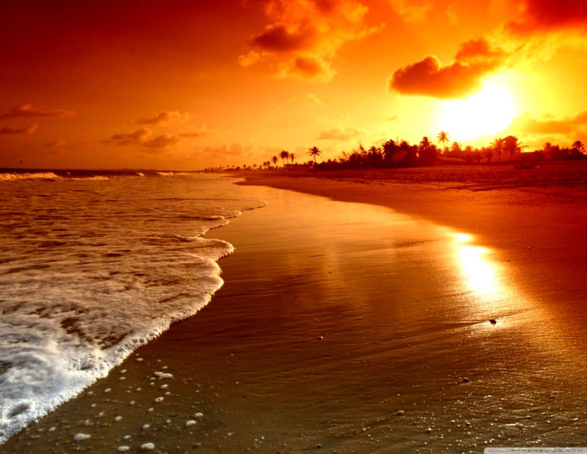 fond d'écran du lever du soleil,ciel,horizon,la nature,mer,lever du soleil