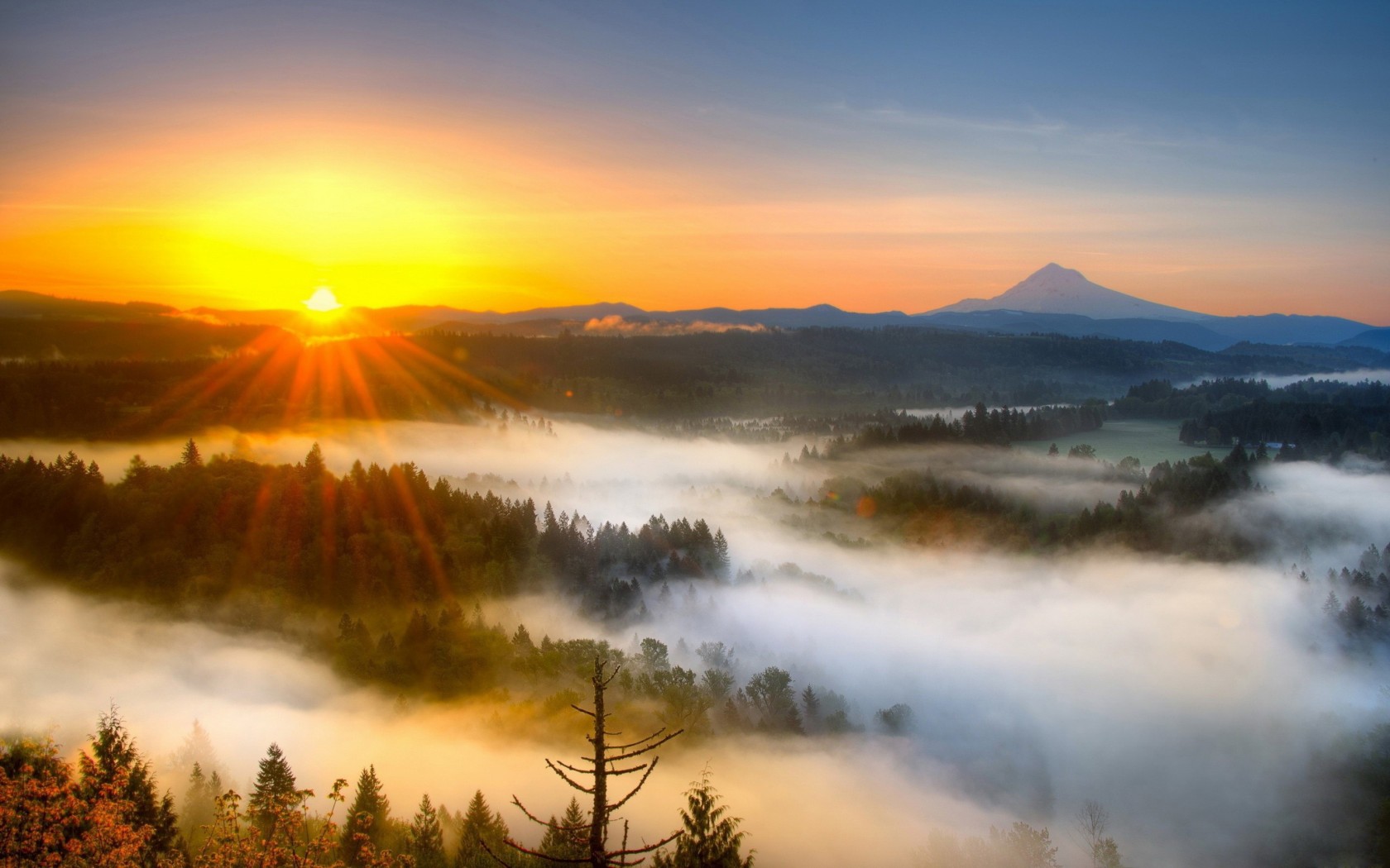 fond d'écran du lever du soleil,ciel,la nature,paysage naturel,lever du soleil,matin