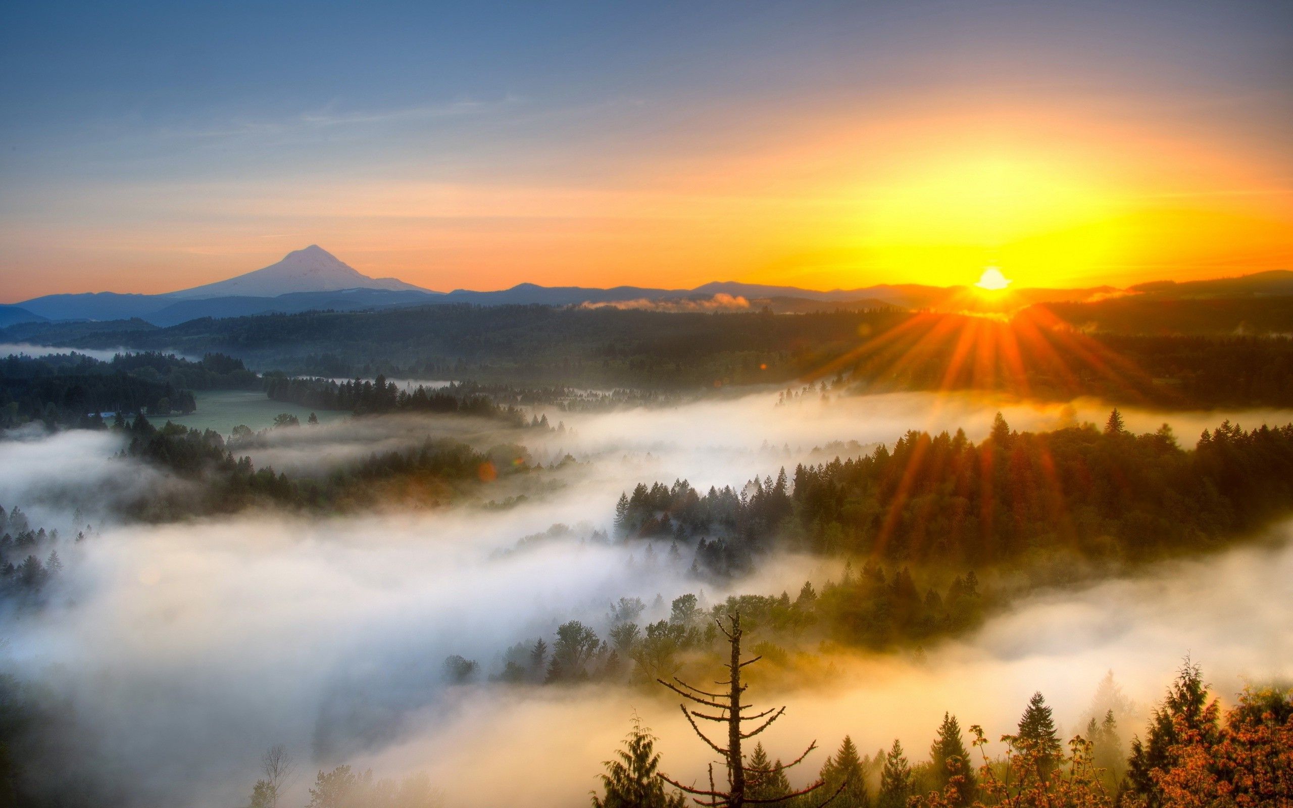 fond d'écran du lever du soleil,la nature,ciel,paysage naturel,lever du soleil,matin