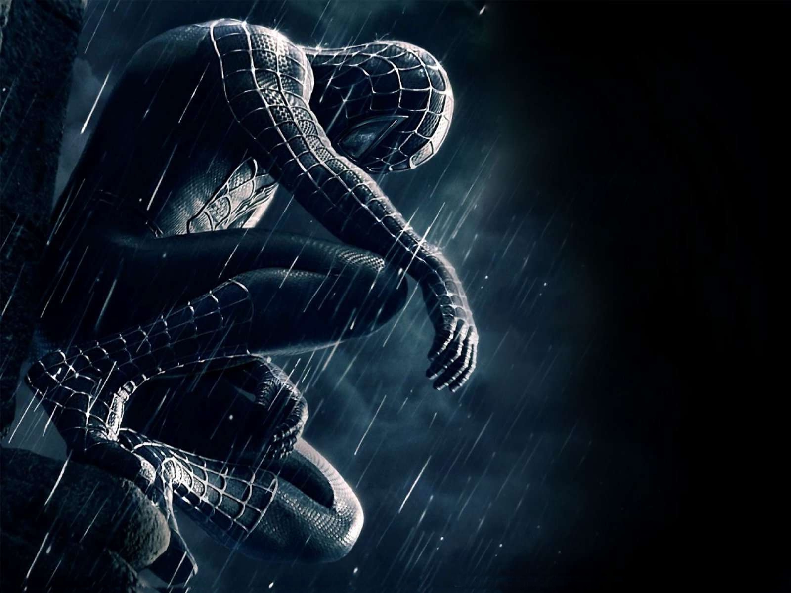 black spiderman wallpaper,cg artwork,fictional character,organism,illustration,space