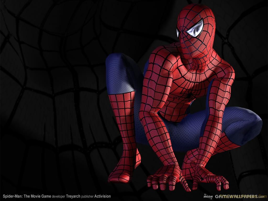 spiderman 3d wallpaper,spider man,fictional character,superhero,flesh