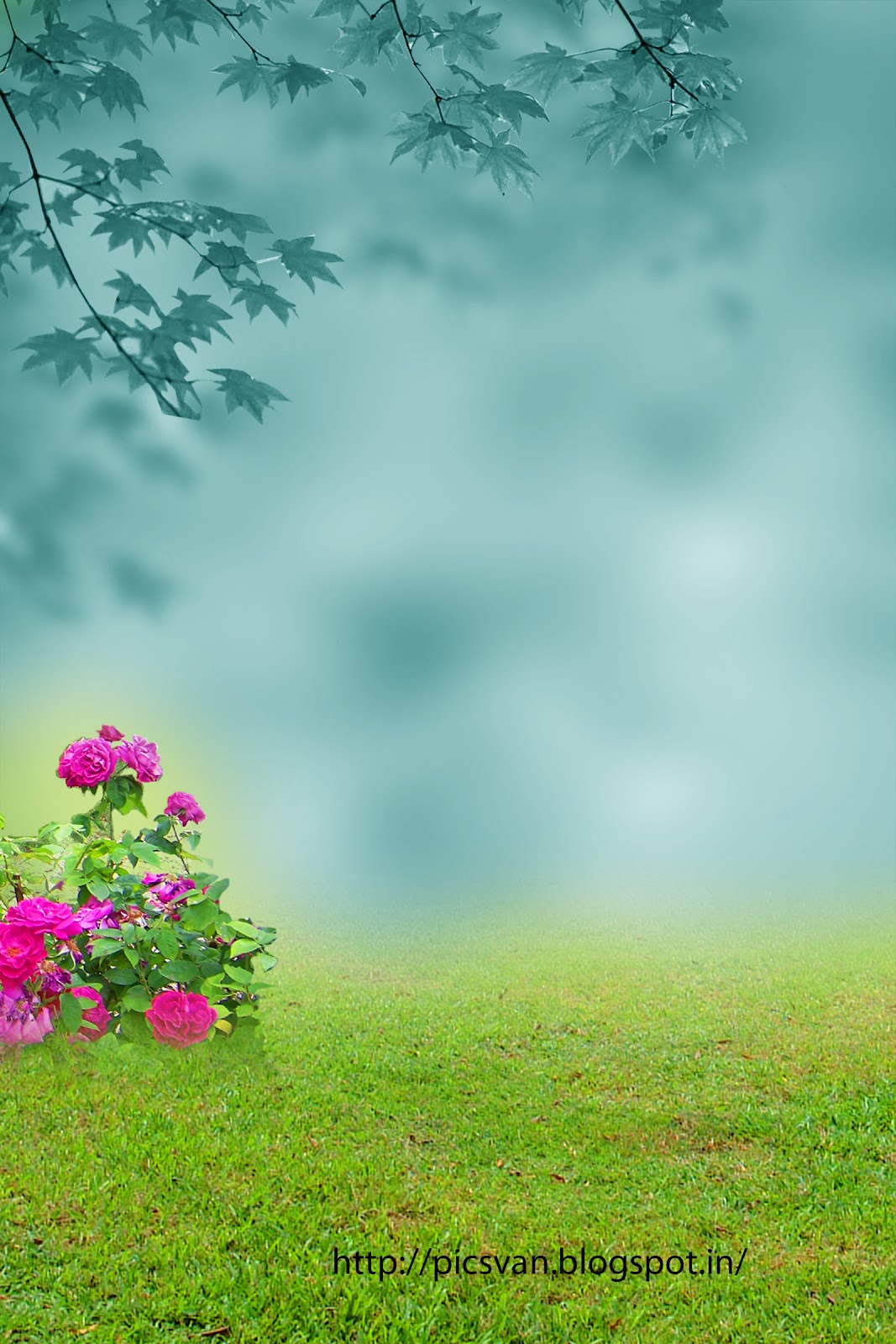 background wallpaper for photoshop,nature,green,sky,natural landscape,flower