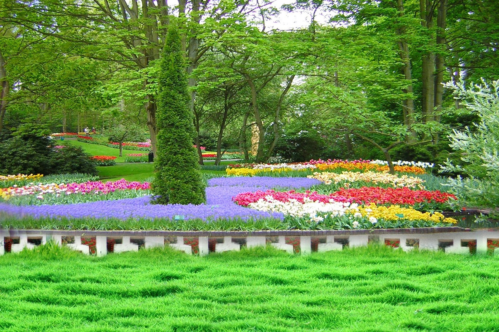 photoshopの背景の壁紙,庭園,植物園,自然,自然の風景,草