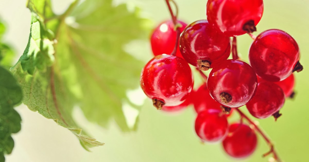 fond d'écran de fruits hd,aliments naturels,baie,fruit,rouge,fruit sans pépins