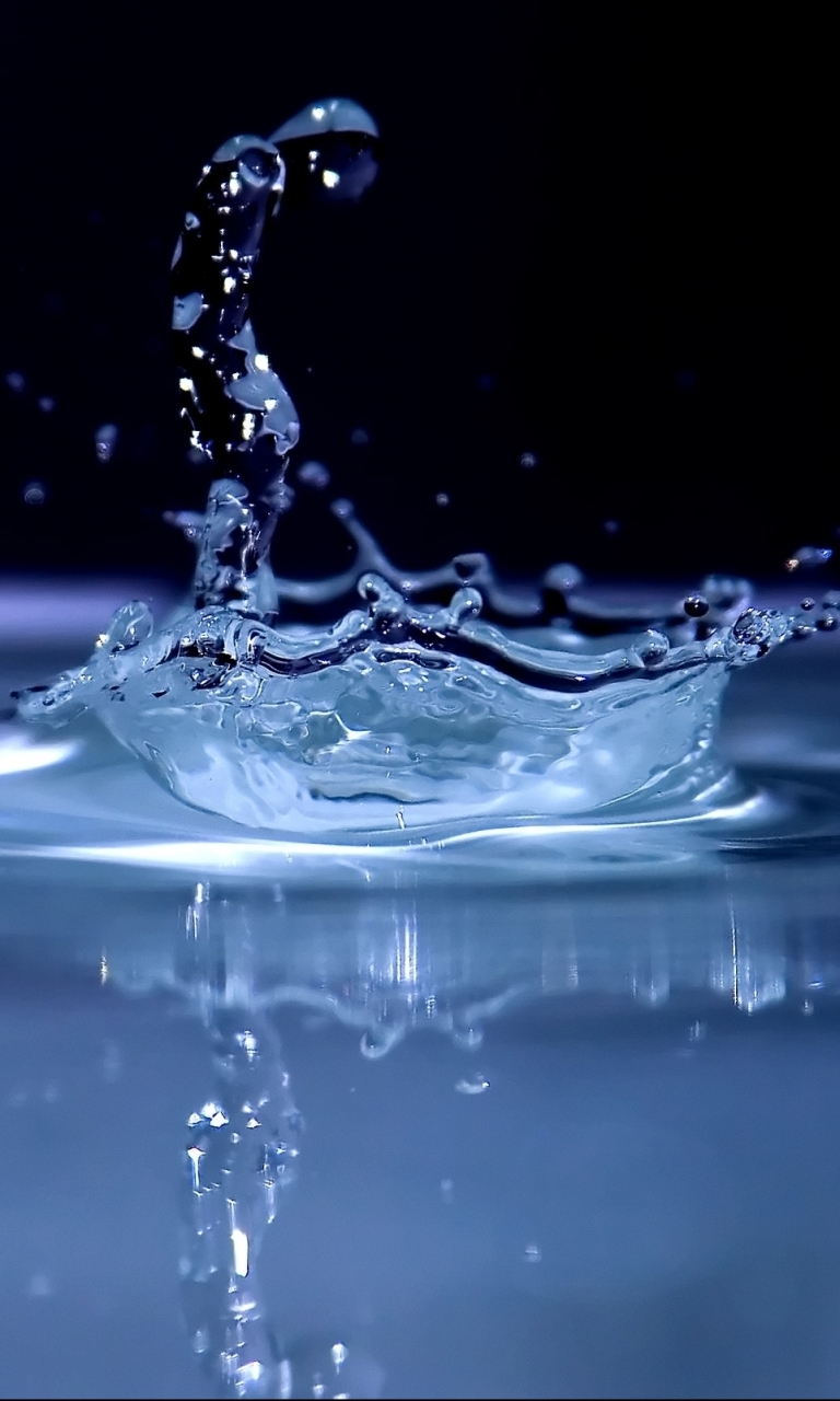 wallpaper blackberry,water,drop,liquid,water resources,drinking water