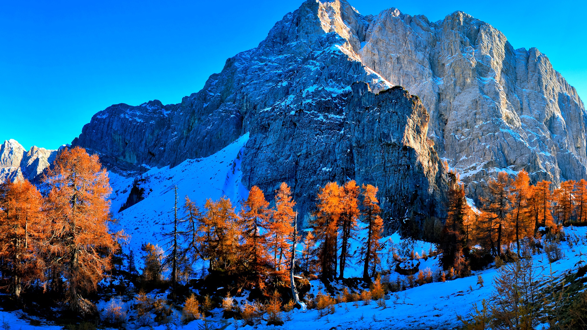 quad hd wallpaper,berg,natürliche landschaft,larix lyalliisubalpin lärche,natur,gebirge