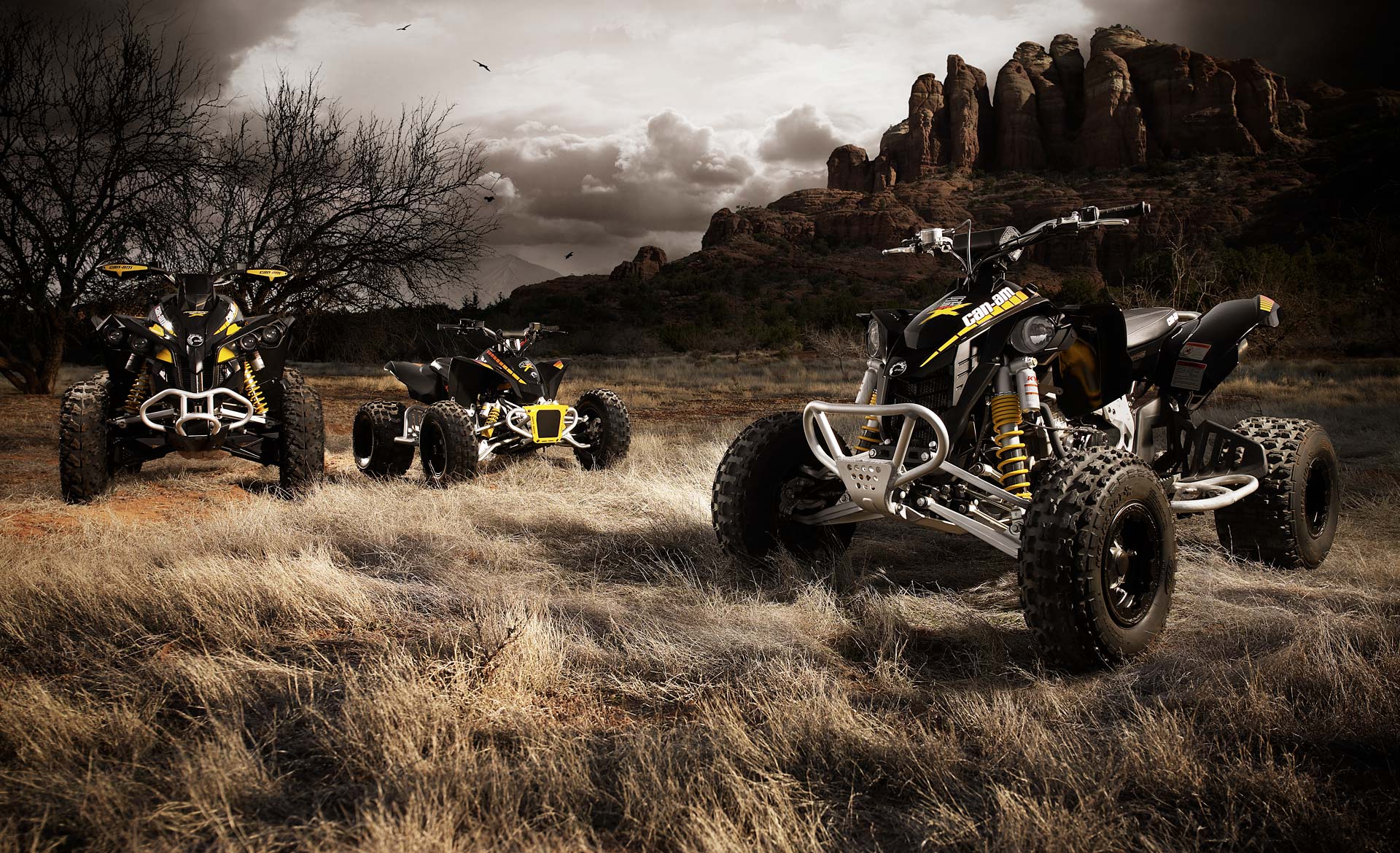 quad hd wallpaper,geländewagen,fahrzeug,offroad rennen,geländewagen,offroading