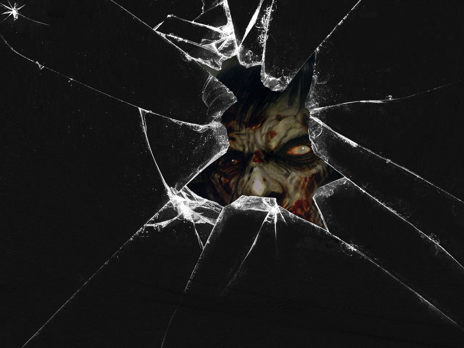 zombie wallpaper,whiskers,black,darkness,cat,spider web