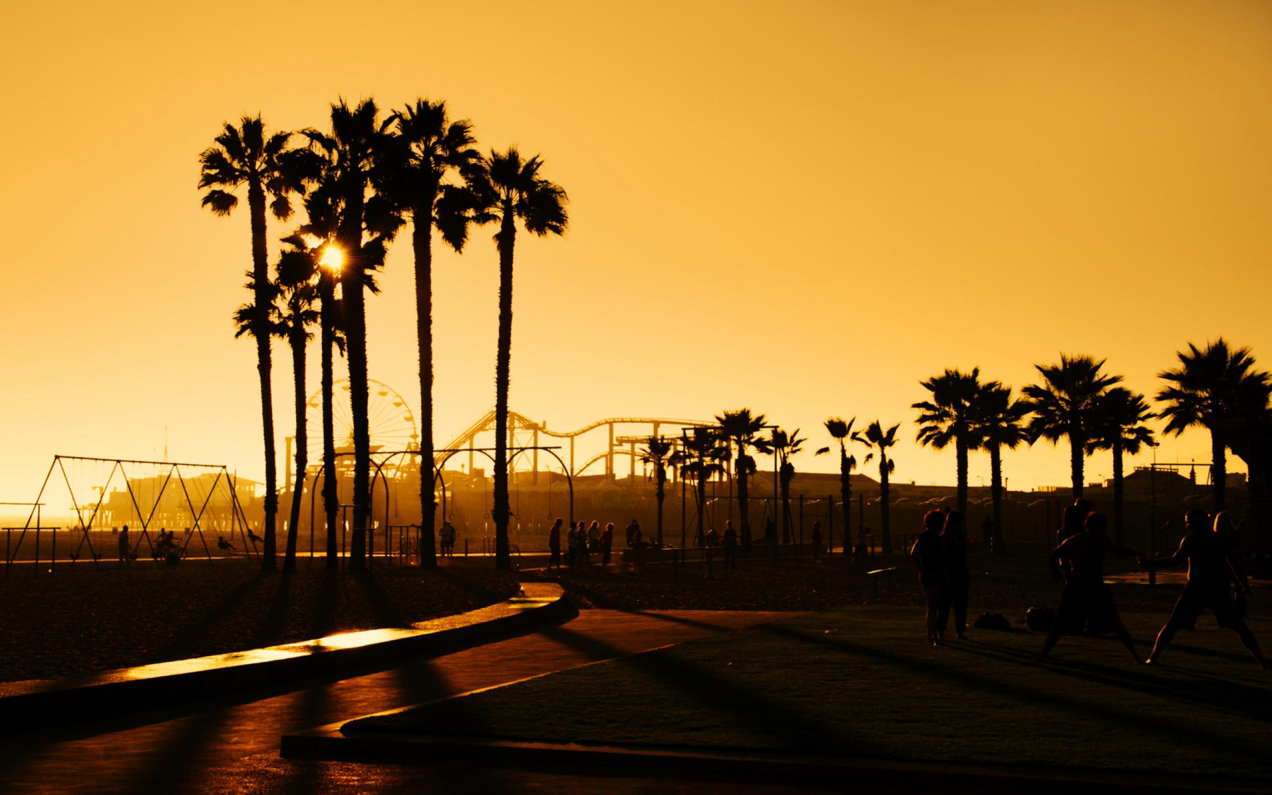 fond d'écran californie,ciel,arbre,palmier,le coucher du soleil,soirée