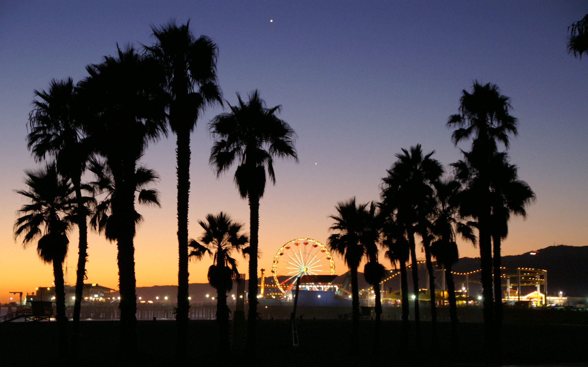 california wallpaper,tree,sky,palm tree,nature,arecales