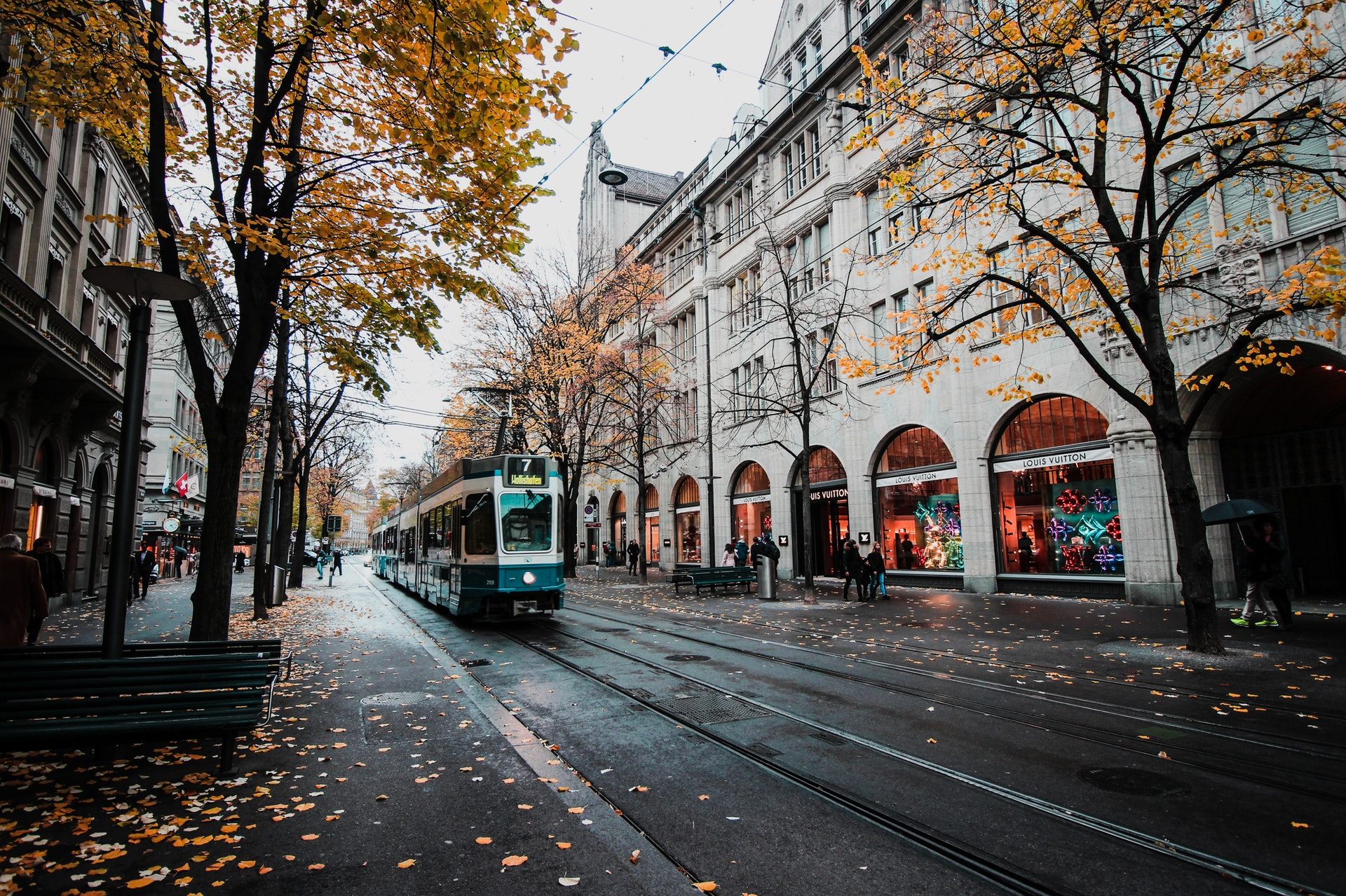 street wallpaper,urban area,town,tree,street,transport