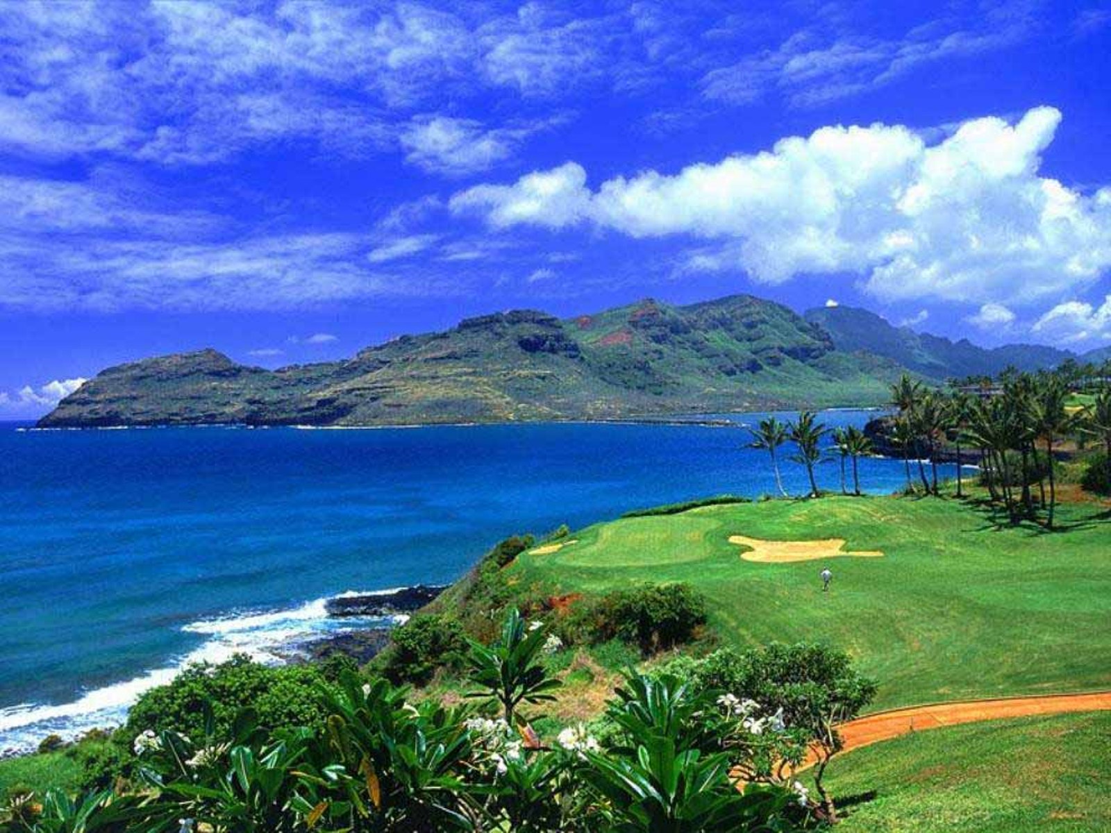 hawaii wallpaper,natural landscape,nature,sport venue,sky,promontory