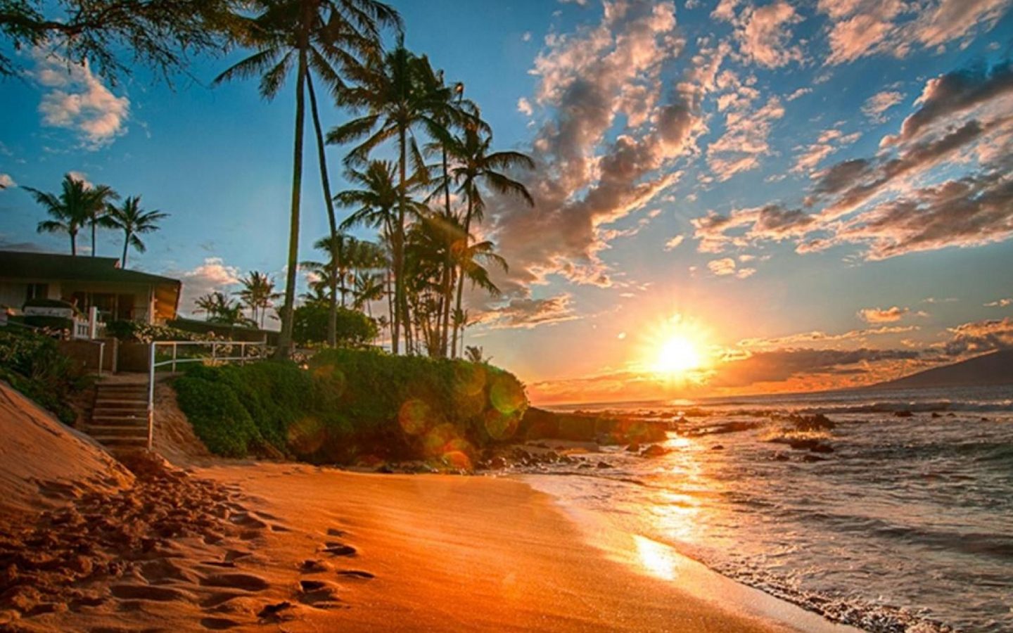 하와이 벽지,하늘,자연,육지,나무,야자수