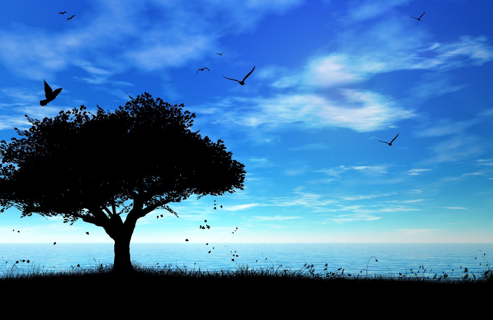 tout fond d'écran hd,ciel,la nature,bleu,l'eau,arbre