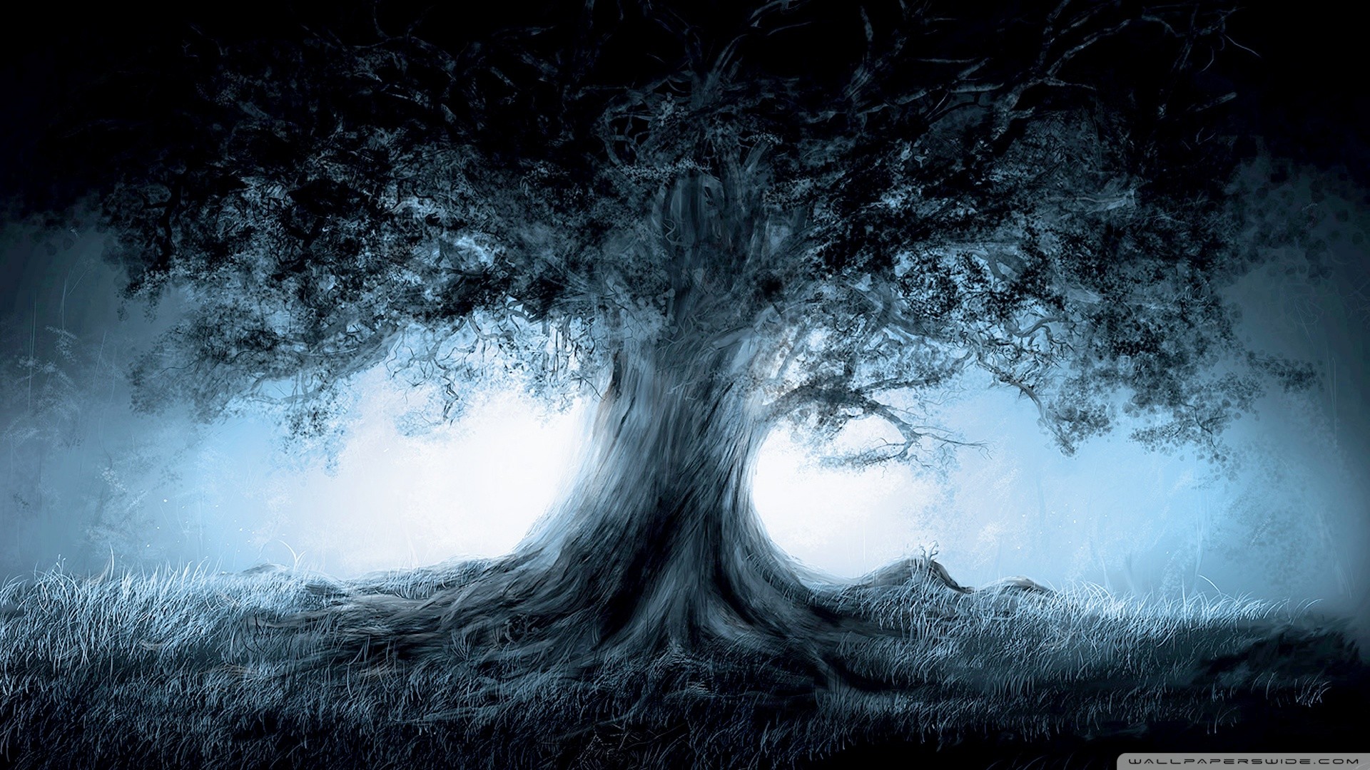 sfondo del desktop 1920x1080,albero,acqua,atmosfera,buio,bianco e nero