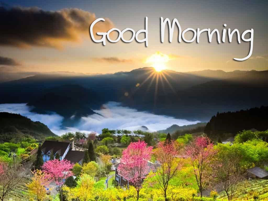 good morning wallpaper image,natural landscape,nature,sky,vegetation,morning