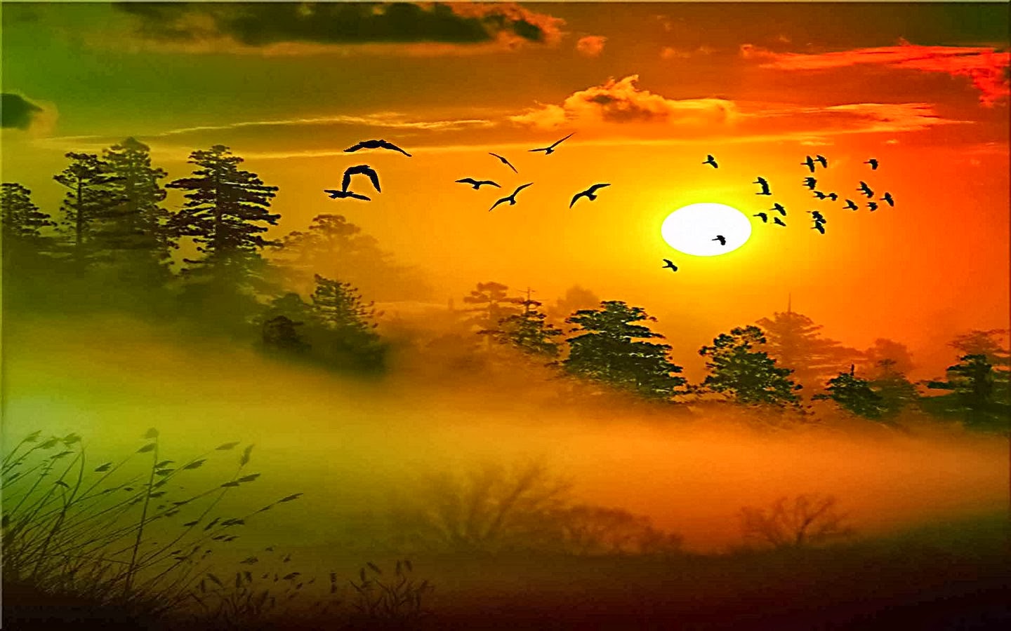 good morning wallpaper image,sky,natural landscape,nature,sunrise,morning