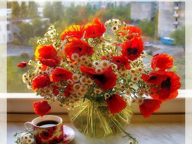 good morning wallpaper image,flower,bouquet,cut flowers,flower arranging,red