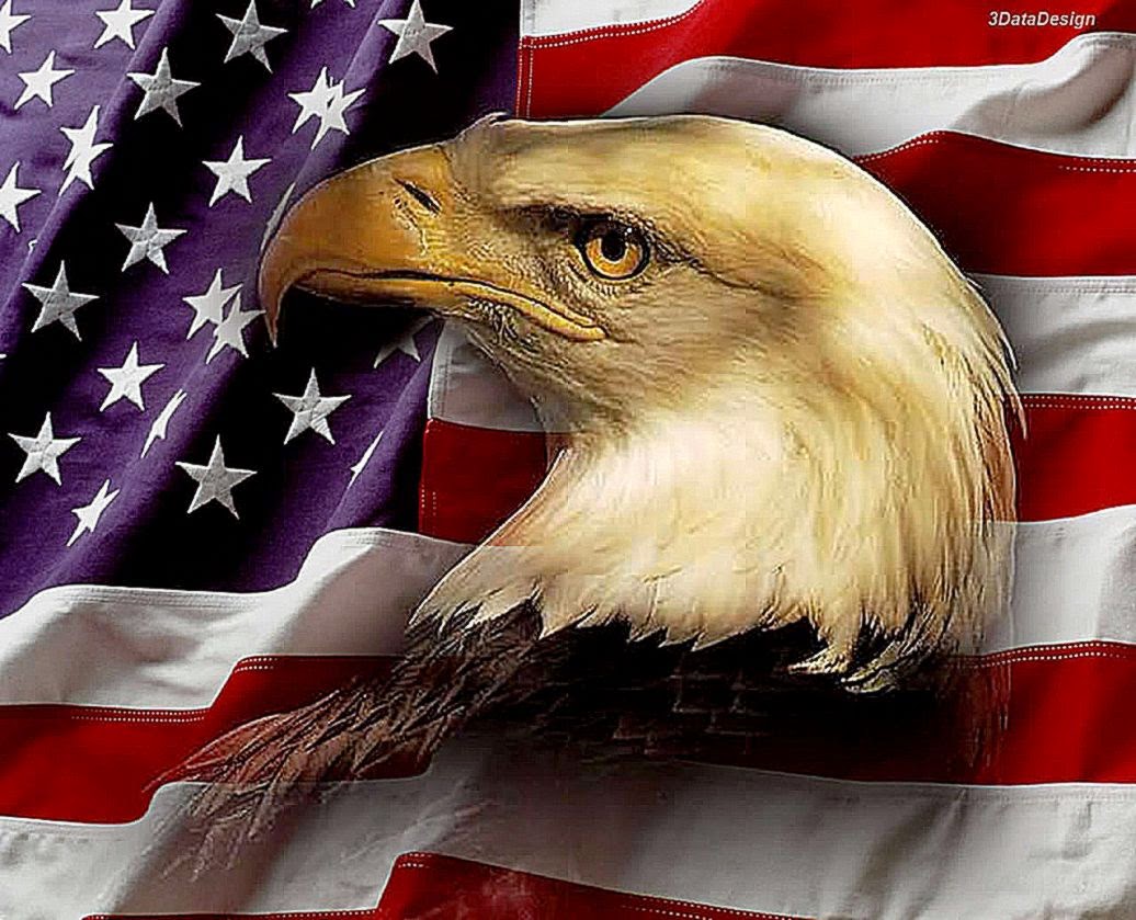 애국 벽지,대머리 독수리,독수리,미국 국기,새의 먹이,새