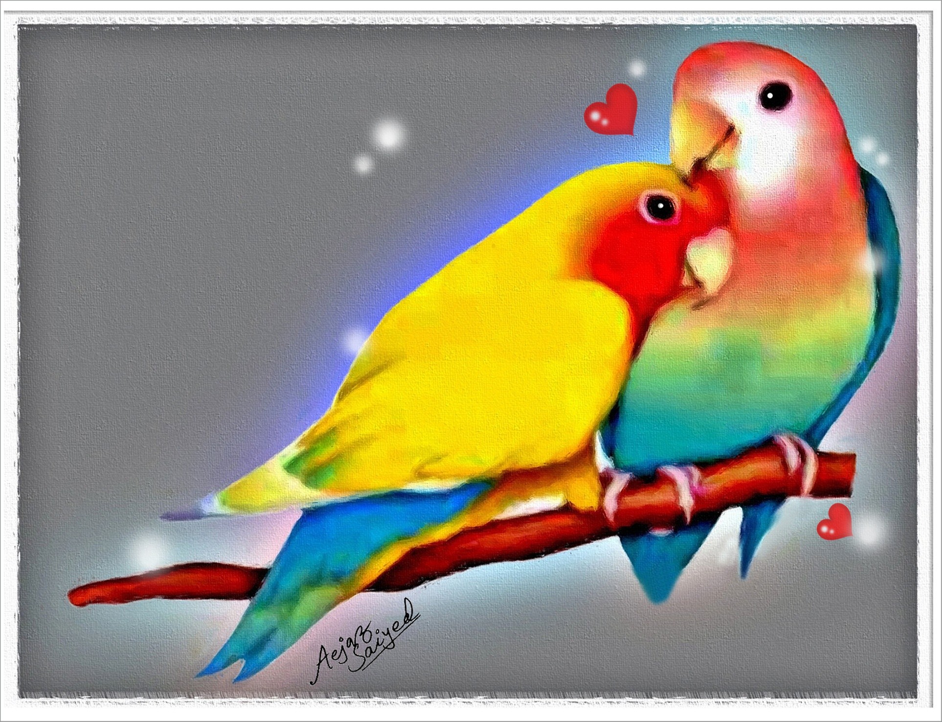 amour papier peint oiseaux,oiseau,perroquet,inséparable,perruche,perruche
