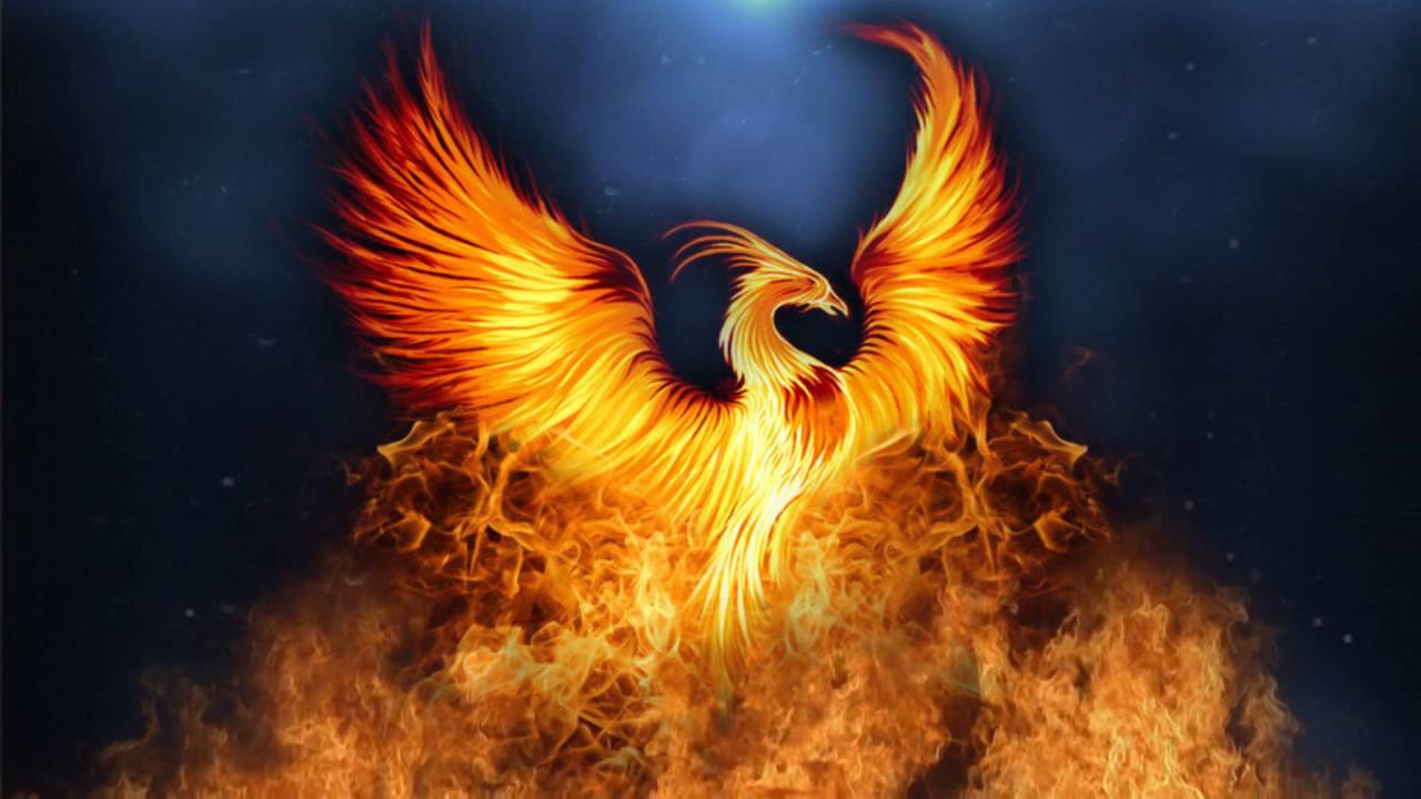 phoenix wallpaper,mythologie,flamme,übernatürliche kreatur,illustration,flügel