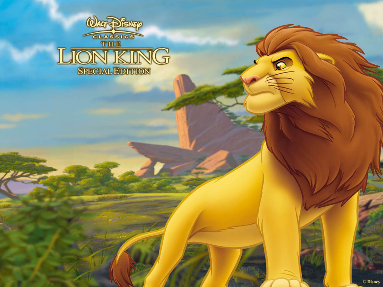 lion king wallpaper,animated cartoon,lion,felidae,cartoon,big cats