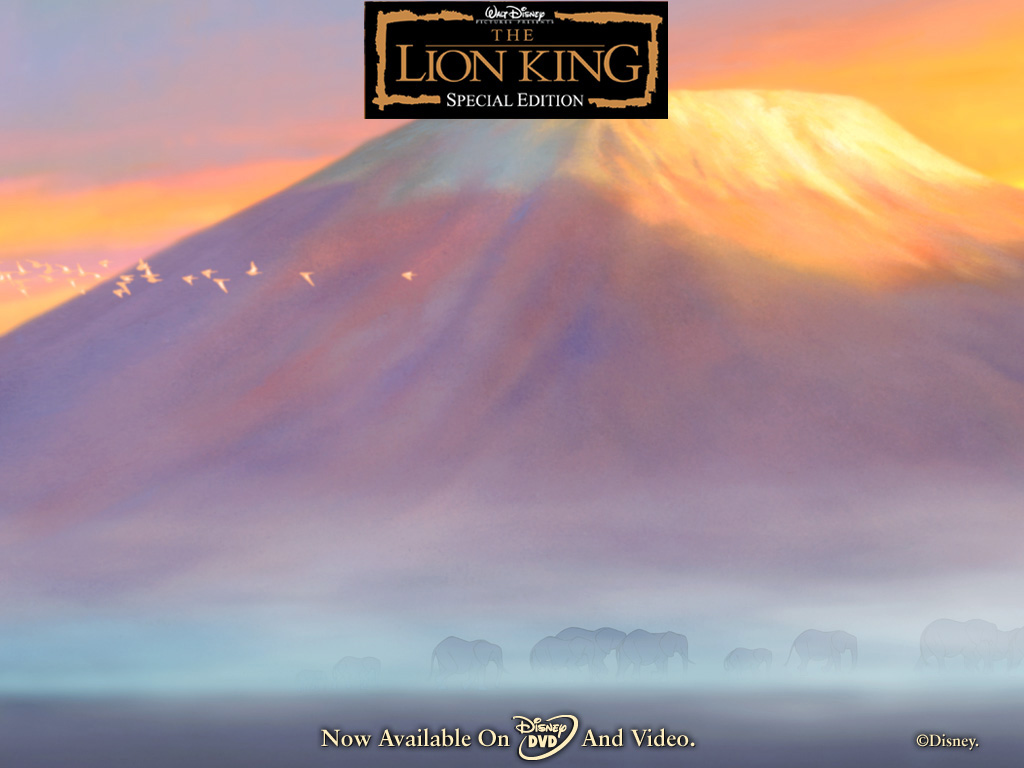 fond d'écran du roi lion,ciel,nuage,aube,horizon,atmosphère