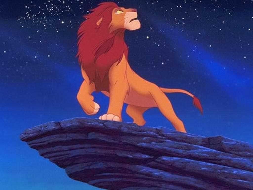 rey león fondo de pantalla,león,felidae,grandes felinos,dibujos animados,ilustración