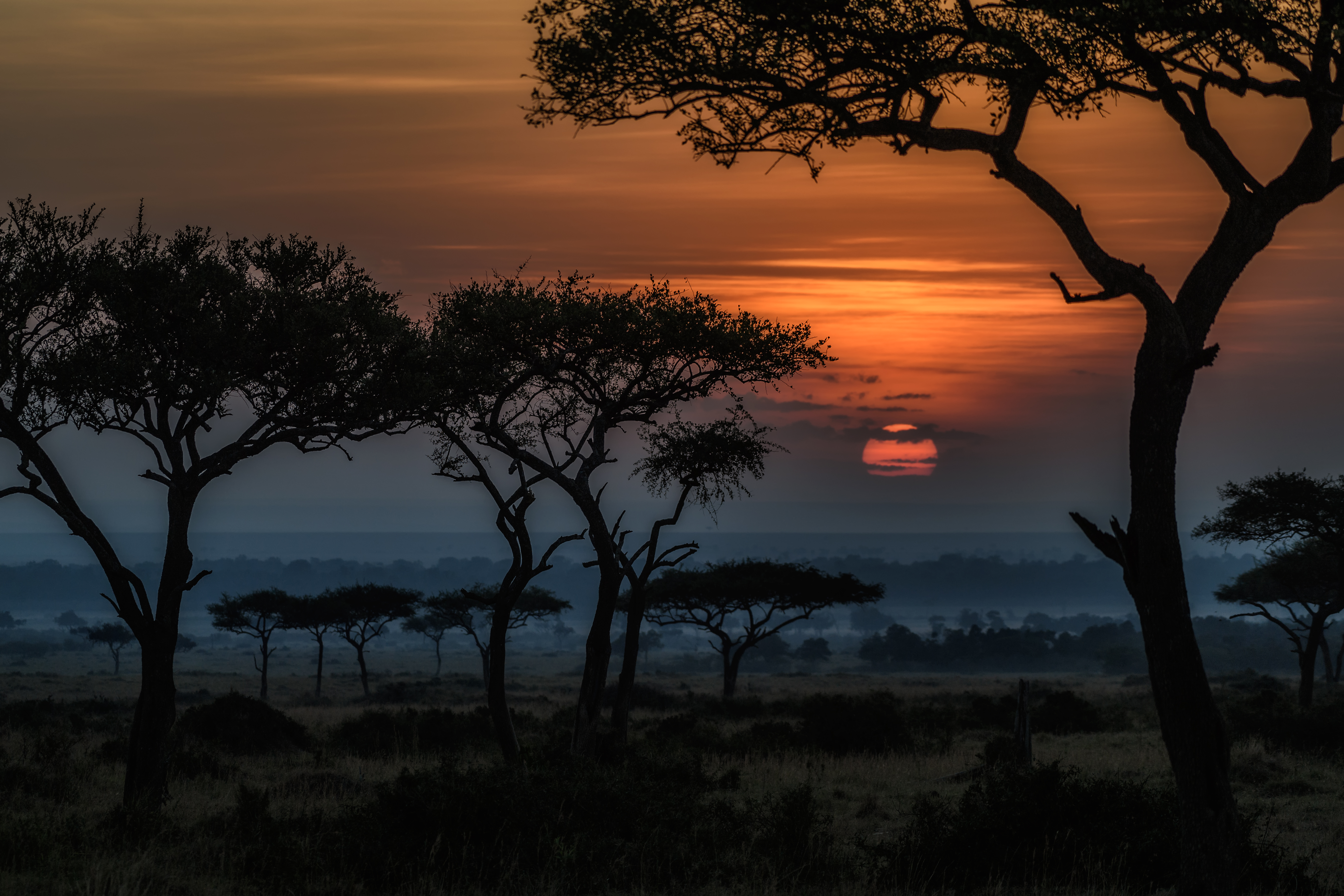 africa wallpaper,sky,nature,natural landscape,tree,savanna