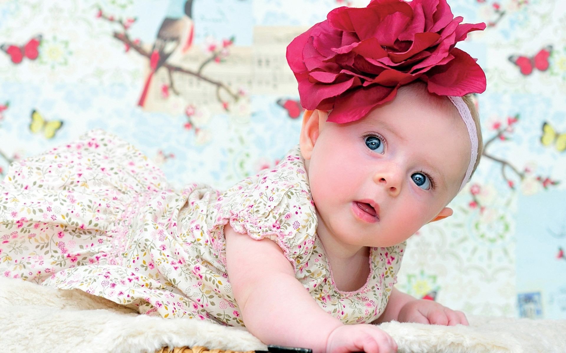 baby girl wallpaper,child,pink,photograph,hair accessory,headpiece