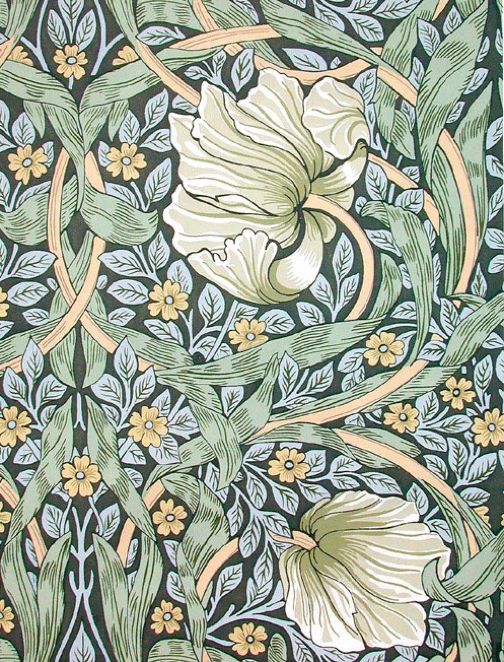 art nouveau wallpaper,pattern,botany,plant,flower,floral design