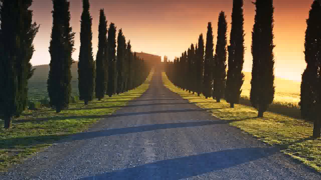 イタリアの壁紙,自然,自然の風景,空,木,朝