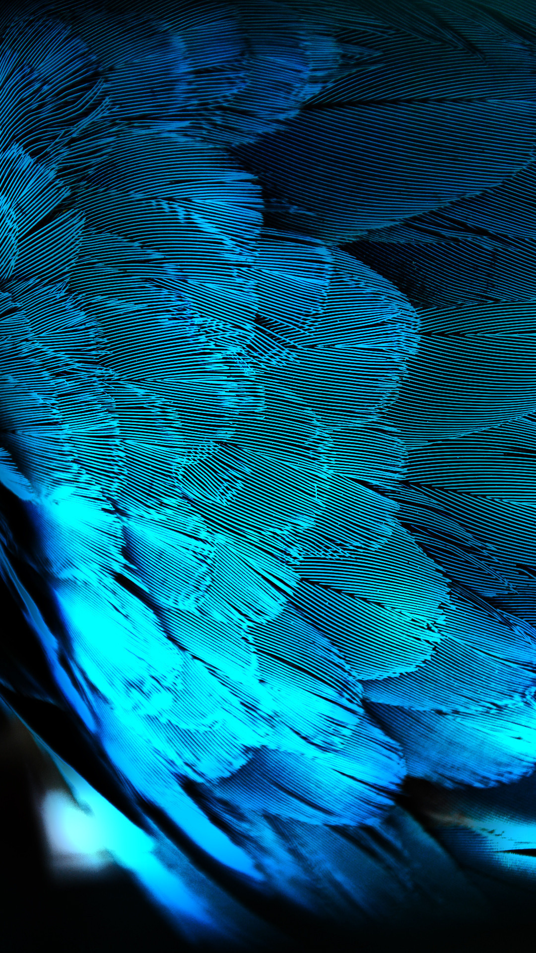 feather wallpaper,blue,feather,turquoise,aqua,teal