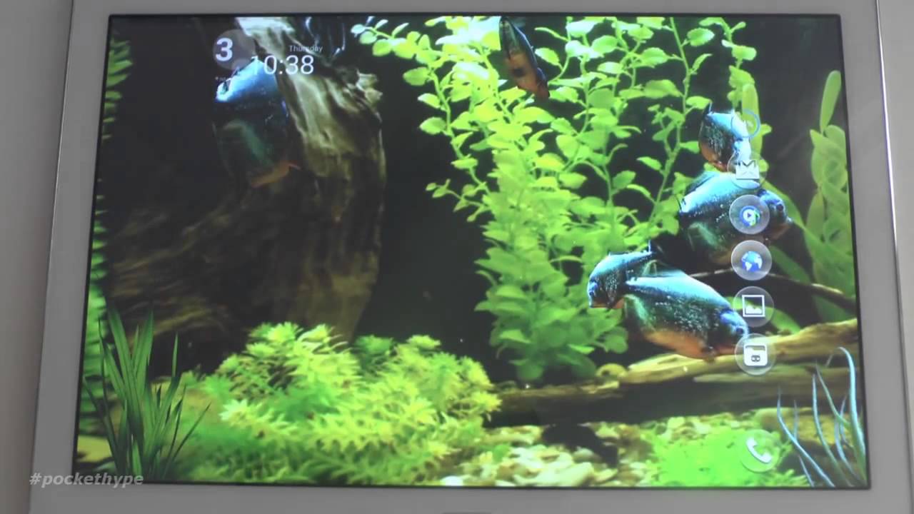 3d画像ライブ壁紙,水族館,自然,淡水水族館,水生植物,技術