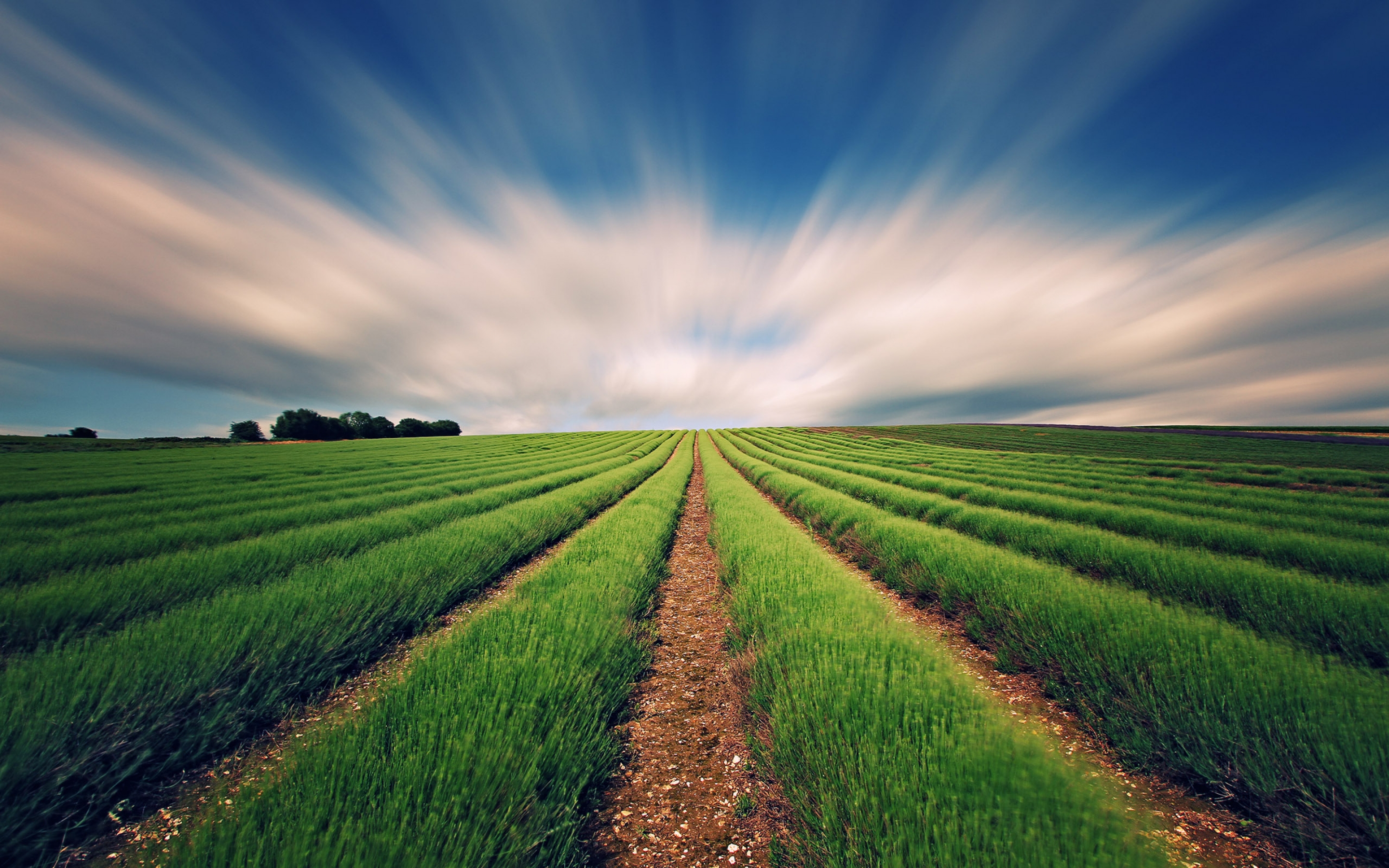 hintergrundbild anzeigen,feld,natürliche landschaft,himmel,natur,grün