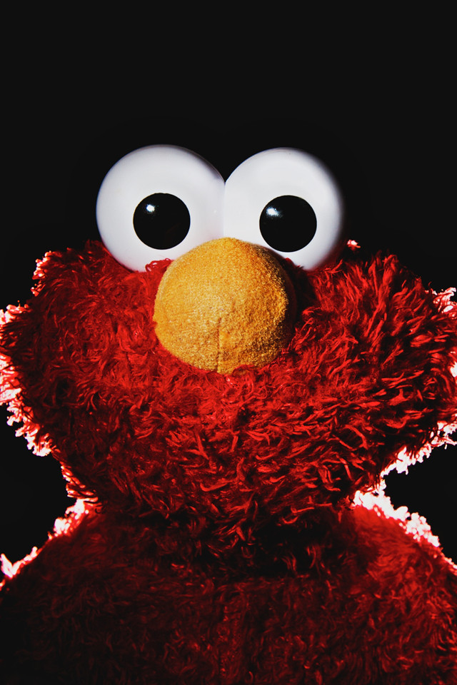 elmo wallpaper,stuffed toy,red,toy,bird,owl