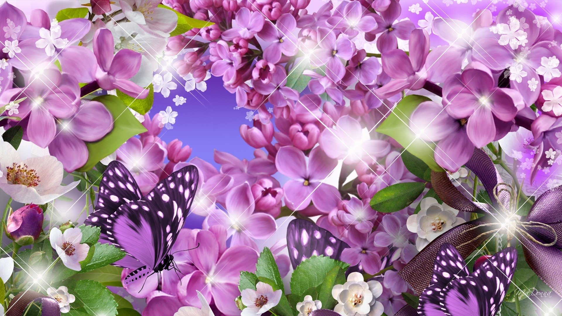 ライラックの壁紙,ライラック,花,ライラック,花弁,紫の
